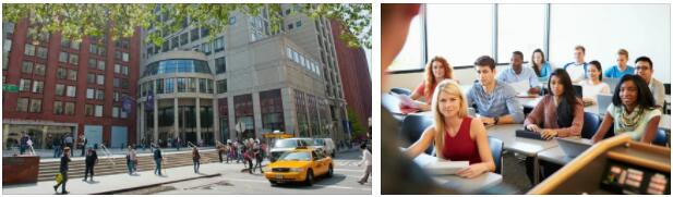 Business Schools in New York